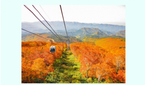 이윤수 한진.png